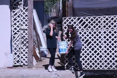 DSC_2048 (Large).JPG